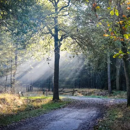 Tiny House Alba - Ervaar Tiny House Living * Diessen