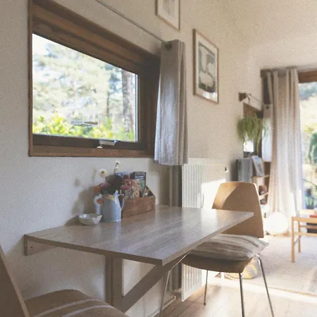 Tiny Eco House Alba - Rust, En Eenvoud In Het Kempenbos * Diessen