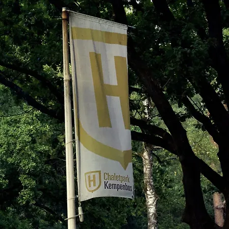 Tiny House Alba - Ervaar Tiny House Living Diessen