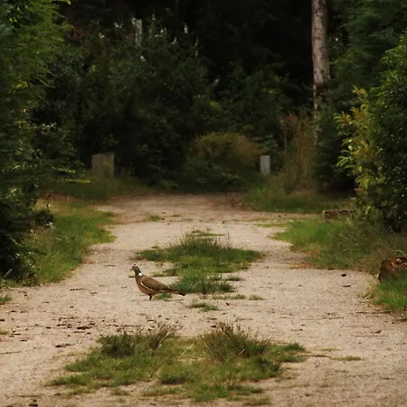 Tiny House Alba - Ervaar Tiny House Living Сasa de vacaciones Diessen