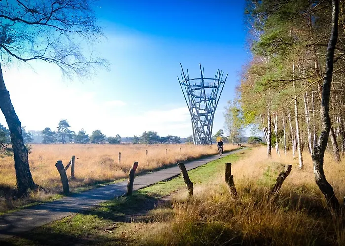 Tiny House Alba - Ervaar Tiny House Living Nyaraló