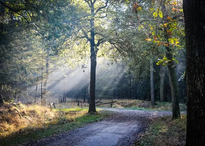 Tiny House Alba - Ervaar Tiny House Living * Diessen