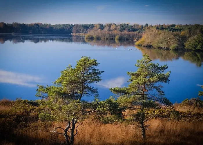 Tiny House Alba - Ervaar Tiny House Living Nyaraló