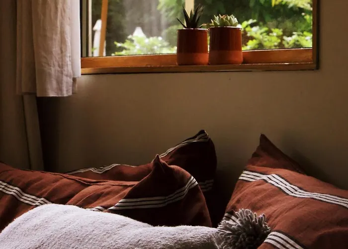 펜션 Tiny House Alba - Ervaar Tiny House Living *