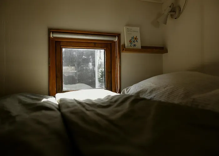 Tiny House Alba - Ervaar Tiny House Living 디센