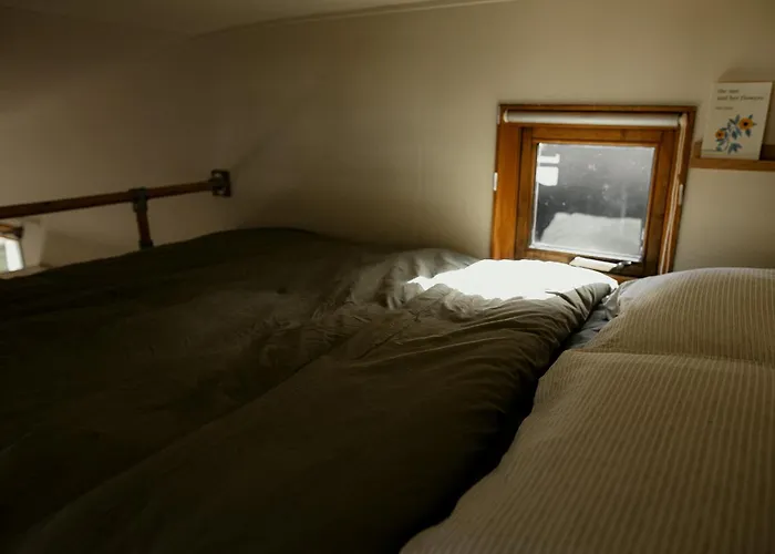 Tiny House Alba - Ervaar Tiny House Living 펜션