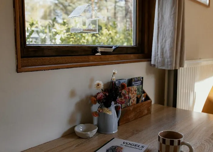 Tiny House Alba - Ervaar Tiny House Living Vakantiehuis Diessen