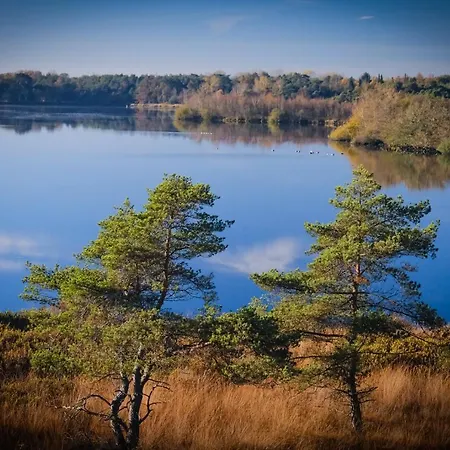 Tiny House Alba - Ervaar Tiny House Living 度假居