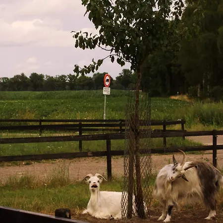 Tiny House Alba - Ervaar Tiny House Living 迪森